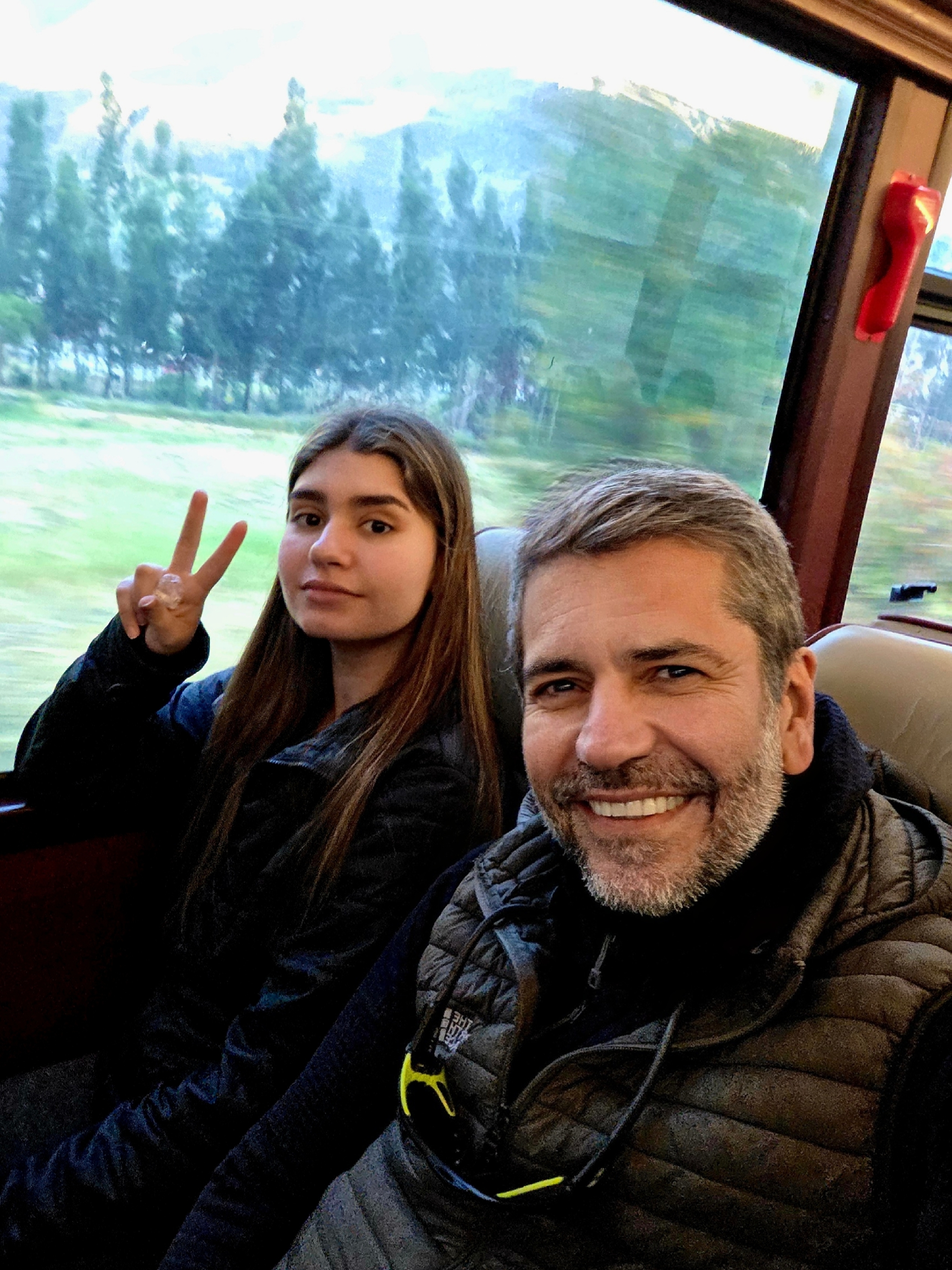A Gigi e eu no trem, campo passando pela janela