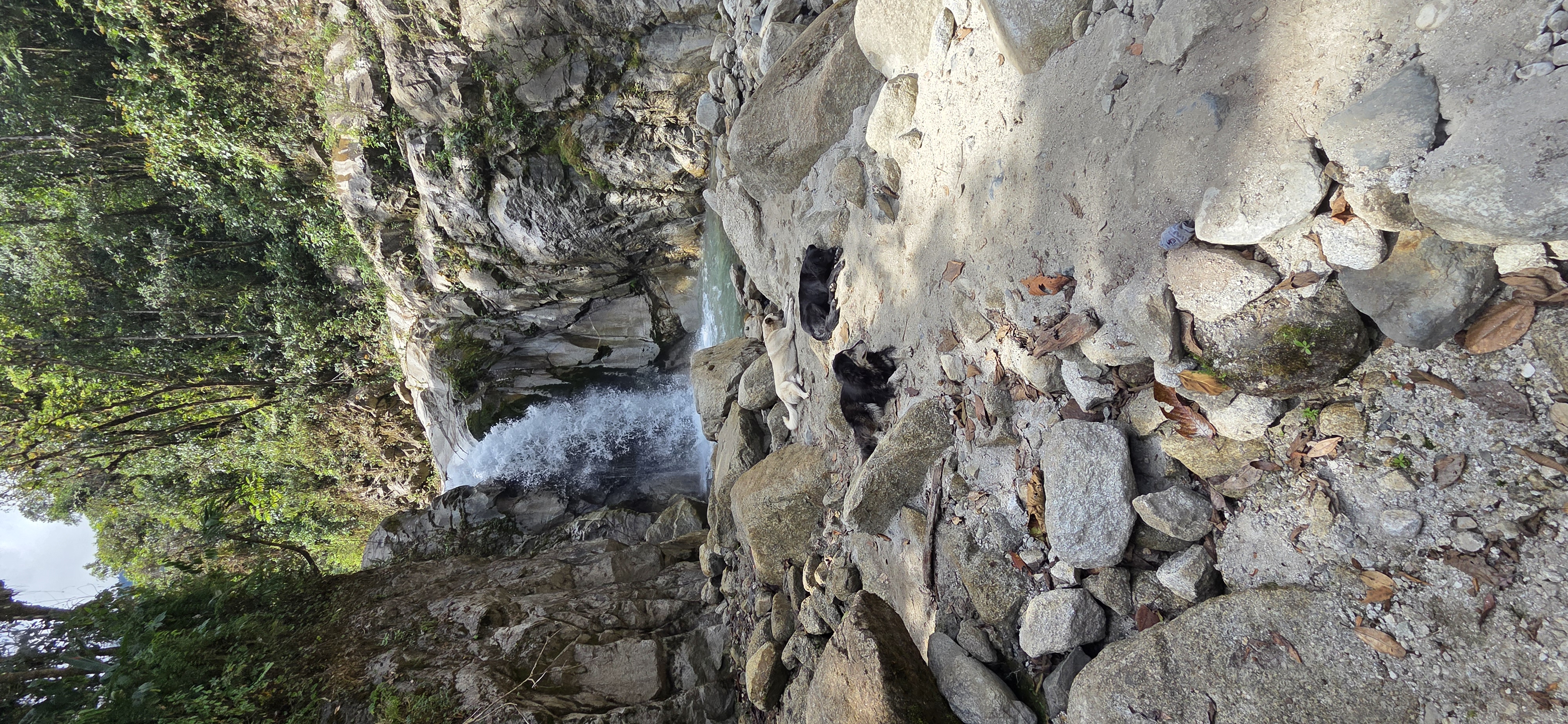 A queda d'água do Santuário Natural de Mandor, com três cães deitados na pedra